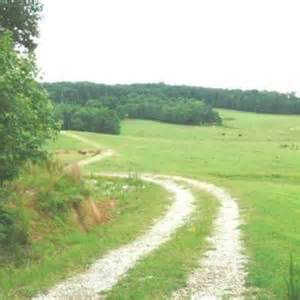 road pastureland