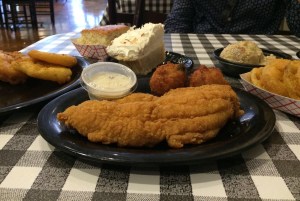 the best fried catfish around